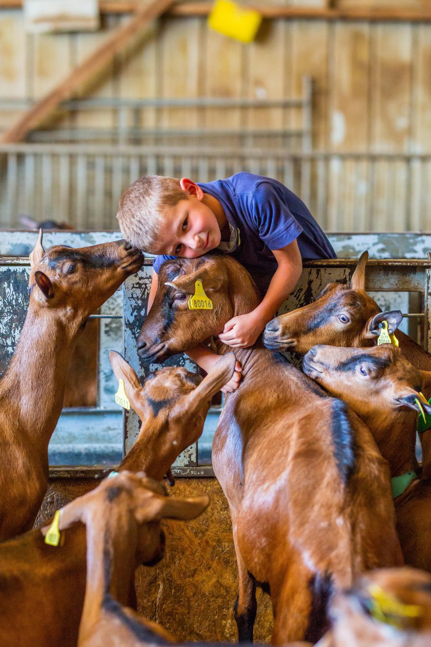 Bienvenue à la ferme