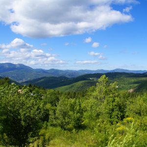 Panorama des Cévennes