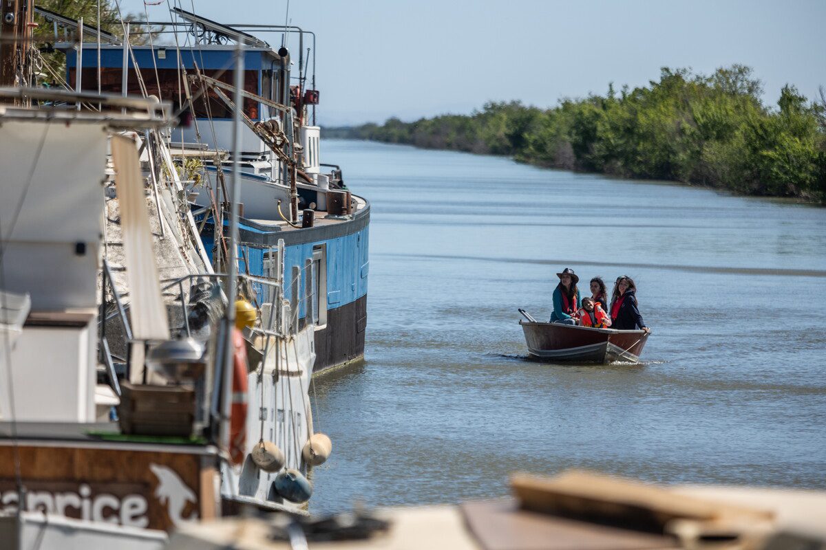 Balade en bateau electrique sur le canal du rhône a sete gallician