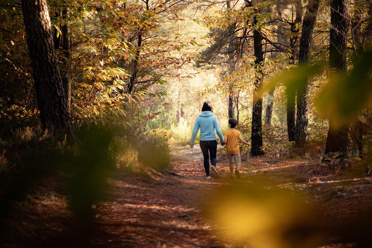 Balade d'Automne en fôret