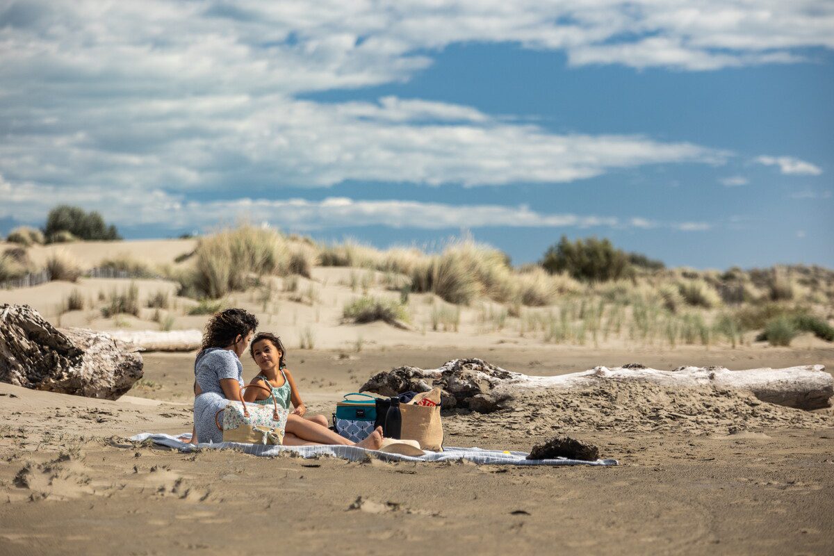 Plage de l'espiguette, plage